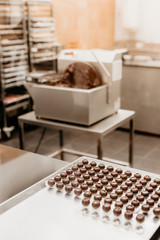 Chocolates rows lined up on a stainless steel table processing for cooking in the morning chocolate factory or industry confectionery work for children's happiness.