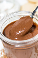 chocolate paste in a spoon