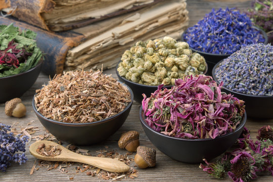 Bowls and mortars of dry medicinal herbs: lavender, cornflower, coneflower, daisies. Healing herbs assortment and old books on wooden table. Herbal medicine.