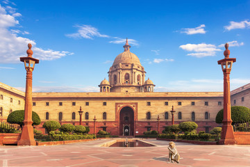 A monkey near the Rashtrapati Bhavan, the Presidential palace in New Dehli, India