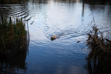  British Scotland England  cityscape
