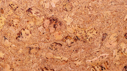 Cork tree texture. Background, blank for design_