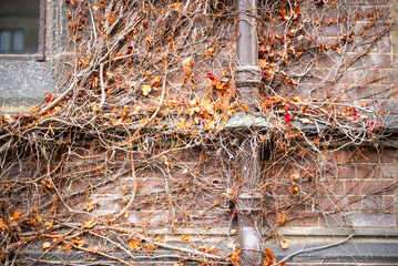  British Scotland England  cityscape