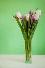 Flowers tulips in a glass vase on a green background.