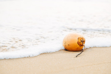 Coconut in the foamy ocean waves on a tropical sandy beach. Travel and vacation concept background.