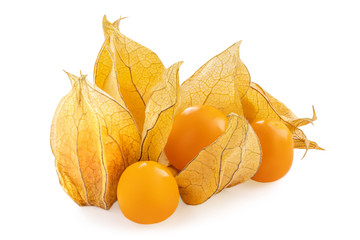 Physalis berry isolated on white background. Fresh golden Physalis (Cape gooseberry) close up.