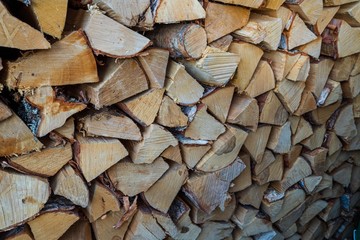 Close up view of wood log. Texture of wood log. Nice backgrounds.