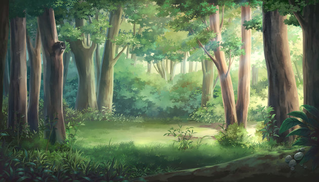 Light and forest - Day , Anime background , Illustration.	