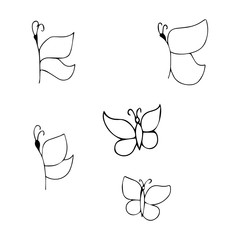 Butterfly design doodle Butterfly. Set Vector. Butterfly isolated on white background.