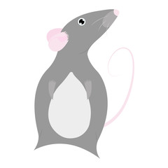 Pet cute Rat. cartoon cute Decorative rat. Domestic rat on a white background