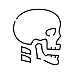 Cranial bone structure line icon, concept sign, outline vector illustration, linear symbol.