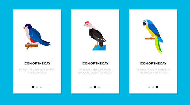Colorful bird flat icon set. Tocororo, condor, macaw isolated vector sign pack. Wildlife and nature concept. Vector illustration symbol elements for web design and apps