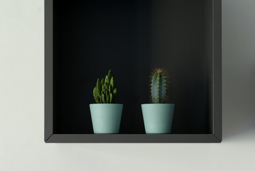 decorative grey cabinet with two different cactuses