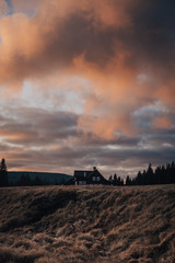 sunset over meadow