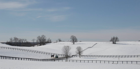 winter landscape with horse farm