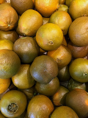 A very rare variety of oranges is Navel Chocolate oranges. These unusual oranges are aromatic and contain a low level of acidity, which creates a very sweet flavor