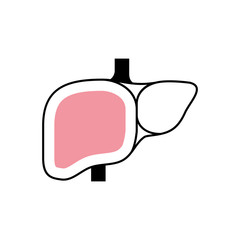 Obraz na płótnie Canvas Isolated liver icon vector design
