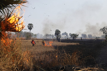 The fire was burning in the fields and the officers tried to help put out the fire