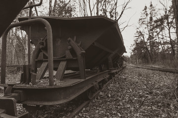 Fototapeta na wymiar Old rusty wagons in a forest, abandoned, narrow-gauge railway, abandoned, dark photo, black and white, mine carts