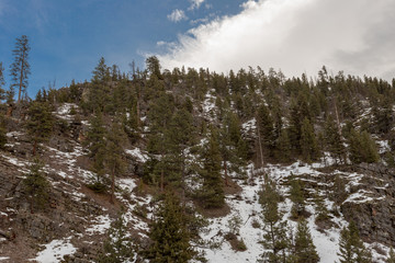 Looking up at a tall cliff face covered in snow and trees on clear day