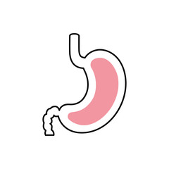 Isolated stomach icon vector design