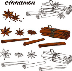Vector set with hand drawn cinnamon : linear and colored brown stcks , stars, seeds. Line art, lettering