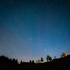 Bäume und Sterne bei Nacht - Landschaft im Allgäu