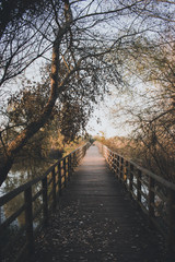 Fototapeta na wymiar Wooden bridge in autumn day