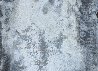 Obraz premium Concrete natural texture or background