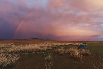 Rainbow after rain on the sky with pink clouds. Landscape in the steppe with grass and tourist tents.