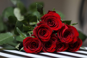 Red roses isolated on a black and white background.