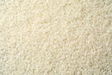 Rice texture background, close up and macro