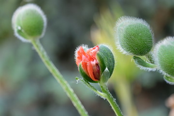 Obraz premium Marktredwitz