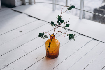  sprig of eucalyptus in a brown glass vase (bottle) on a white wooden background