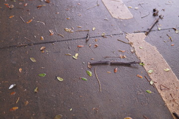 dirty asphalt road after a rainstorm
