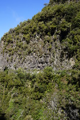 Berg mit Levada auf Madeira