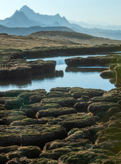 Fototapeta na wymiar Mountains. Pools and ponds with moss and water. Northern Peru Huascaran. South America. Huaraz region.
