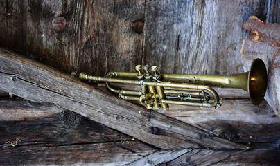 an old jazz trumpet in an old farm - obrazy, fototapety, plakaty