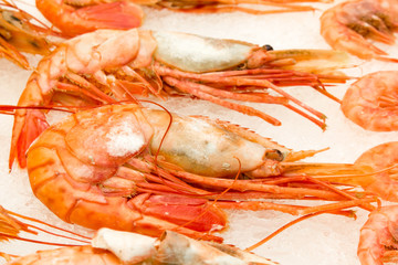 Fresh, raw shrimps on ice
