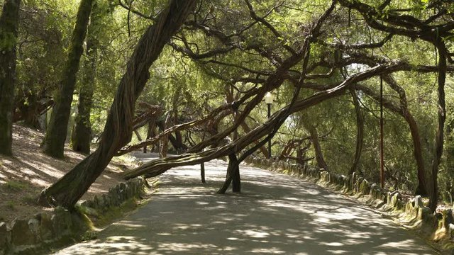 Parque de La Salette Park in Oliveira de Azemeis, Portugal