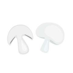 White champignon mushrooms isolated on white background