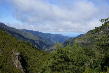 Naklejka premium Berge auf Madeira