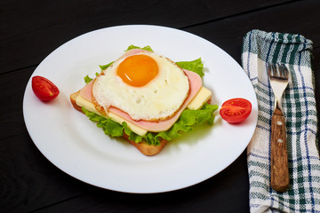 Fototapeta na wymiar Toast with ham, egg and tomato on a plate on a black background.