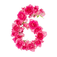 Numeral 6 made of roses on a white isolated background. Element for decoration.