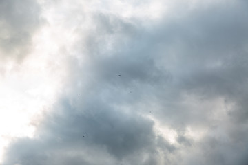 Obraz premium clouds in the sky