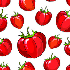 Vector seamless pattern : red ripe fresh tomatos vegetables on white. Hand drawn design with food for textile, fabric, wallpaper, wrapping paper.