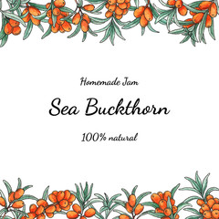 Sea buckthorn watercolor frame. isolated on white background. Template for natural cosmetic, cream, jam, juice, oil, herbal tea. Design label, flyer. Social media post template Sea-buckthorn