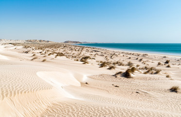Landscape of Al Khaluf beach with dunes and white sands in the Arabian Sea of Oman.
