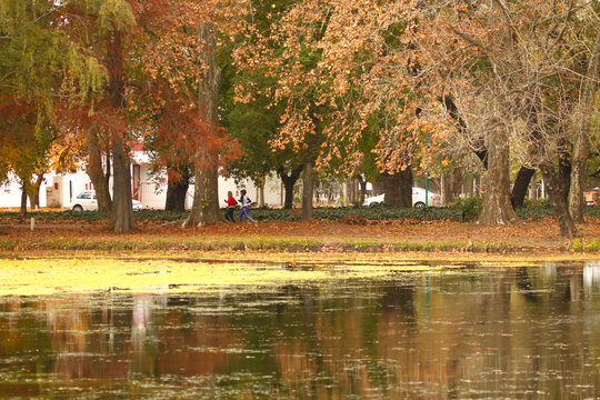 9 DE JULIO, BUENOS AIRES, ARGENTINA - MAY 26, 2016: People jogging among trees by a lake in a city