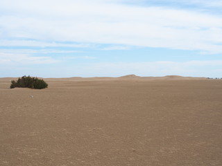 Fototapeta na wymiar Arena y dunas en la playa de la punta del Fangar